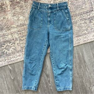 Madewell Baggy Pleated Tapered Jeans in Springdale Wash